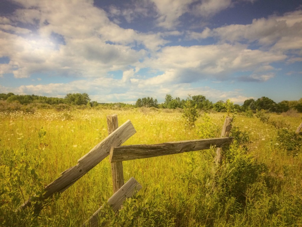 "The Fence" by Corinne Schaefer