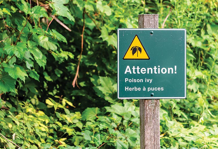 The Poison Ivy Prevention Tip Most People Miss