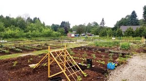 Door County The Community's Garden Plots