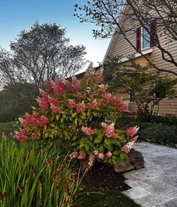 Door County House & Garden Walk Home