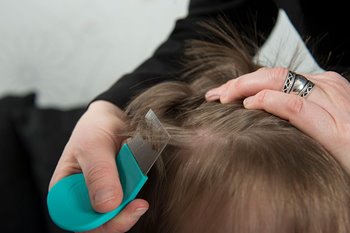 combing head for lice