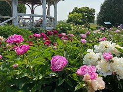 Door County House & Garden Walk Home