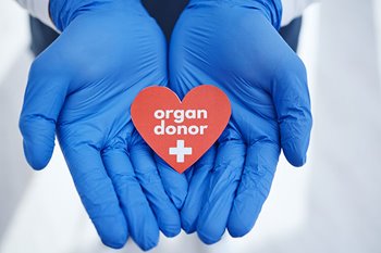 Organ donor